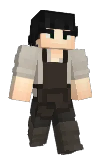 Front of mediaevant's skin