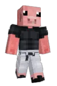 PVP1G