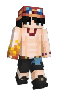 Front of whysk's skin