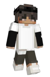Front of Supersambags's skin
