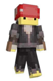 Front of belligham's skin