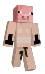 Slim Minecraft skin
