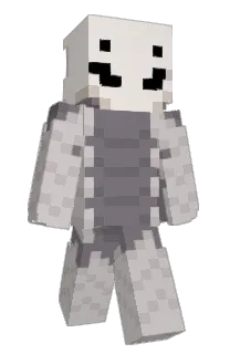 Front of zygmari's skin