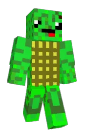 Skin preview