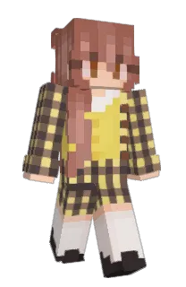 Front of Minecraft skin