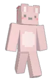 ehfld2222 Minecraft avatar full body