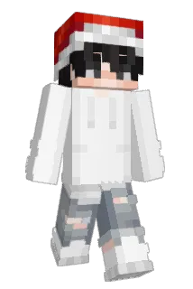ehgjs1004 Minecraft avatar full body