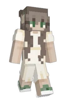 einADHS Minecraft avatar full body