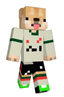 einsteinkoning Minecraft avatar full body