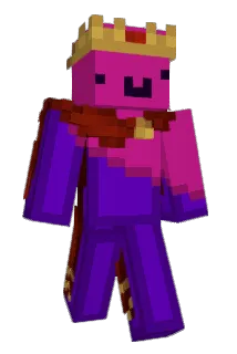 eis330 Minecraft avatar full body