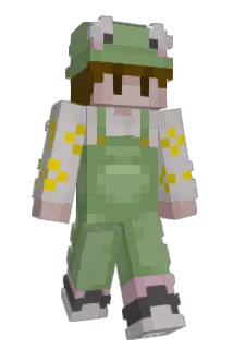 ej6276 Minecraft avatar full body