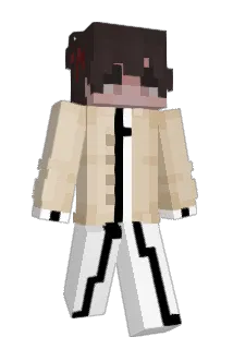ejten Minecraft avatar full body