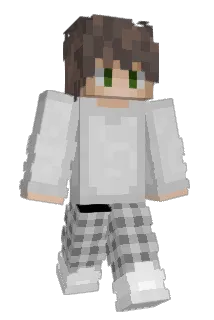 el56 Minecraft avatar full body