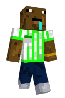 elG1846 Minecraft avatar full body