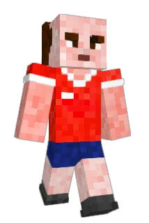 elamicapo Minecraft avatar full body