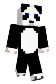 eldar502 Minecraft avatar full body