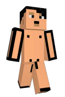 electrotrooper24 Minecraft avatar full body