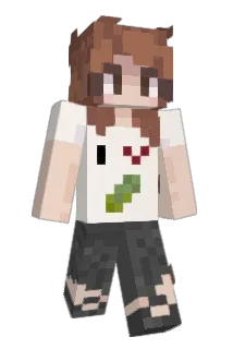 Minecraft-Avatar von elenavf: ganzer Körper