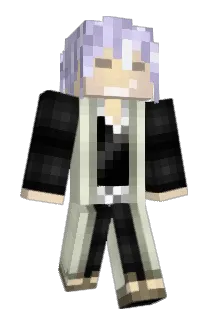 elfanyr Minecraft avatar full body