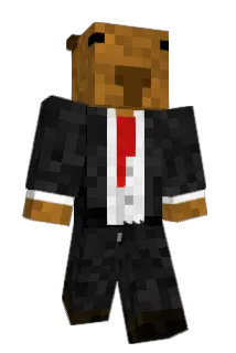 elgato6912 Minecraft avatar full body