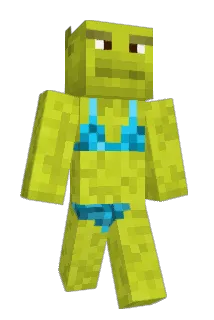 eliasgamingdk Minecraft avatar full body