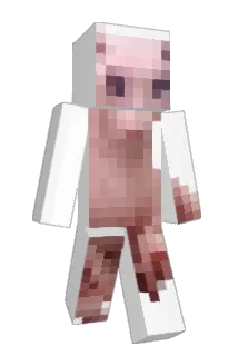 elie_bingus Minecraft avatar full body