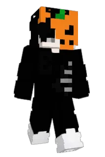 elsotr2 Minecraft avatar full body