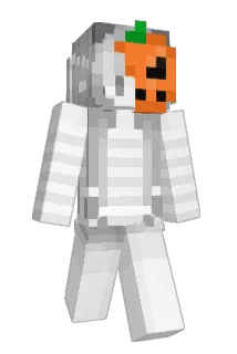 elytrachan Minecraft avatar full body
