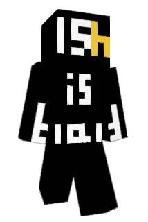 elytrum Minecraft avatar full body