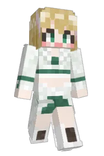 em0130 Minecraft avatar full body