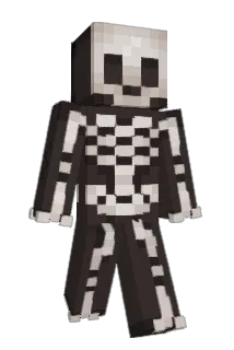 em2047 Minecraft avatar full body