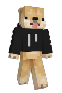 embryoga Minecraft avatar full body