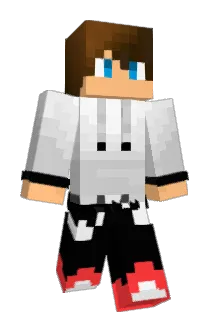 emc2le Minecraft avatar full body