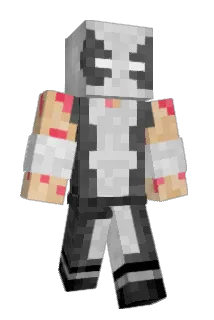 emh22 Minecraft avatar full body