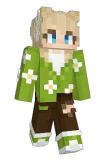 emmailler Minecraft avatar full body
