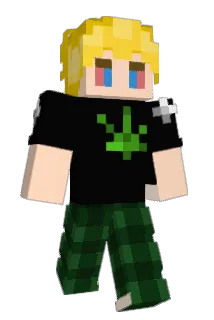 emmett_fried Minecraft avatar full body