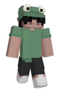 emreandniners Minecraft avatar full body
