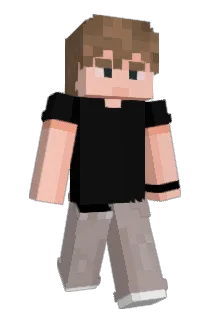 enbirthh Minecraft avatar full body
