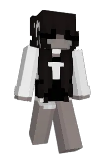 encasings Minecraft avatar full body