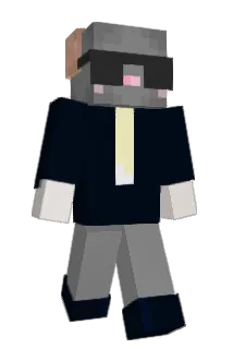 encass Minecraft avatar full body