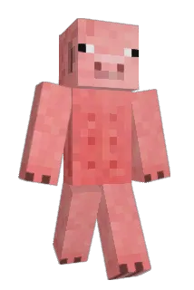 endcan1 Minecraft avatar full body