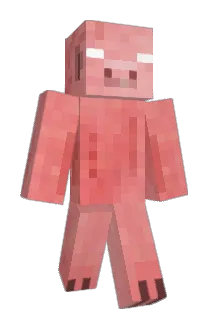 ender0205 Minecraft avatar full body