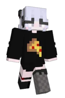 ender1008 Minecraft avatar full body