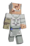 enderman6746665 Minecraft avatar full body