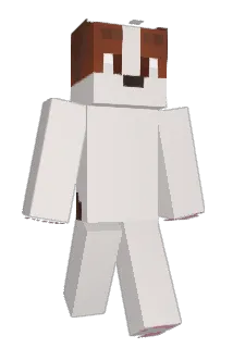 endermiso Minecraft avatar full body