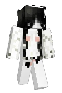 endermita2010 Minecraft avatar full body