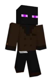 enderninja134 Minecraft avatar full body