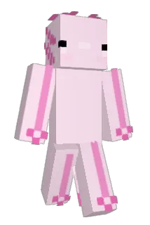 enderrslayer509 Minecraft avatar full body