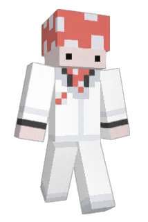 enderzombie8 Minecraft avatar full body