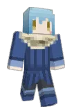 endome Minecraft avatar full body